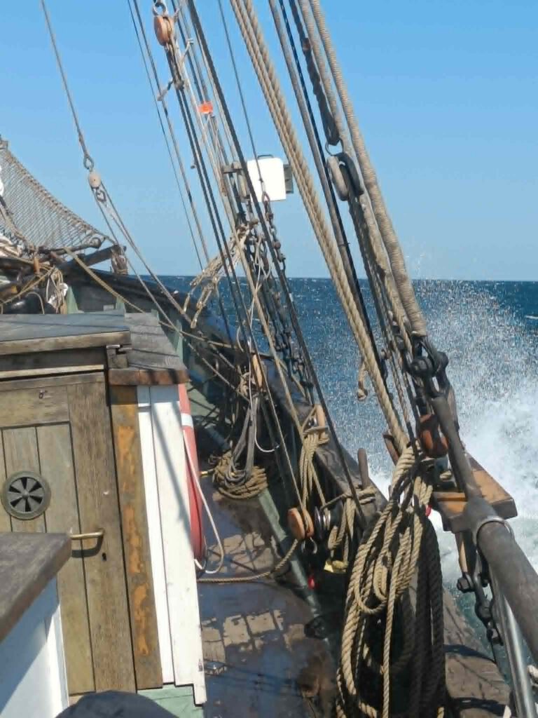 Professional crew training under sail on a traditional vessel, Seamanship Academy
